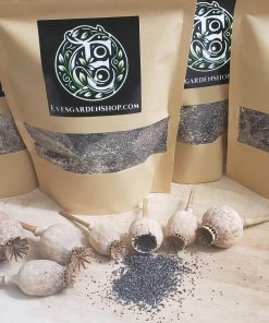 Premium Union Jack Poppy Seeds - Unwashed Papaver Somnfierum