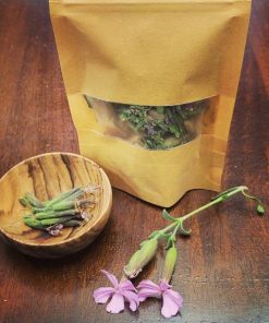 Organic Dried Soapwort